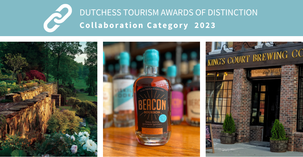  Awards of Distinction Finalist Spotlight Newcomer Category